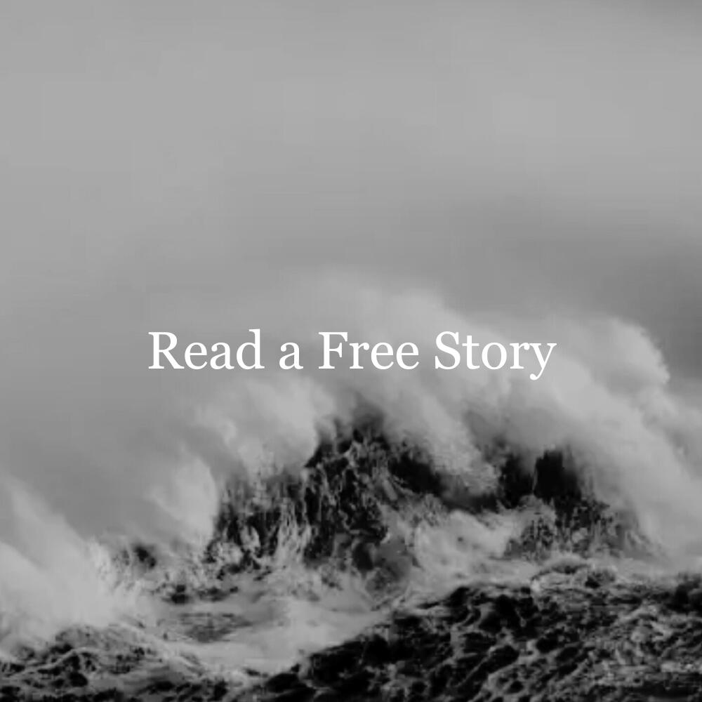 After Every Storm by Penelope Clare. A excerpt short story about one woman, one ship, and one bold beginning.